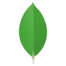 MongoDB
